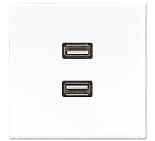Розетка USB Jung MALS1153WW