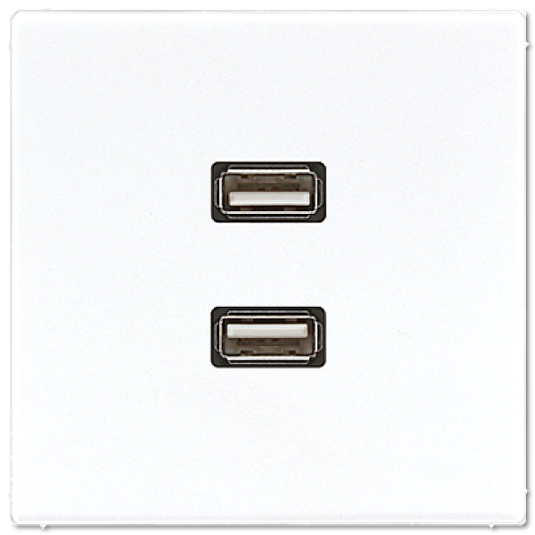 Розетка USB Jung MALS1153WW