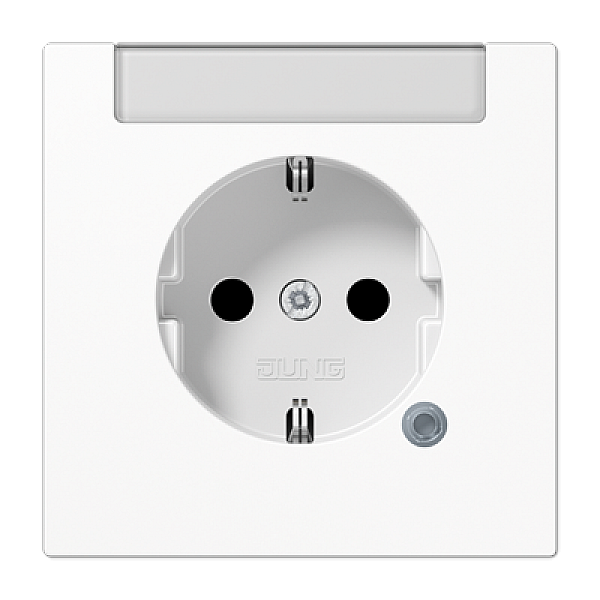 Розетка Schuko Jung LS1520INAKOWW