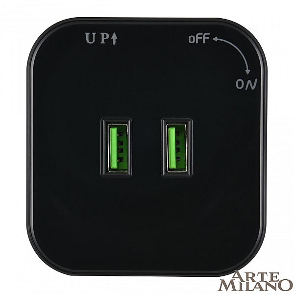 Трековая розетка Arte Milano Am-track-sockets 380022TS/USBx2 Black