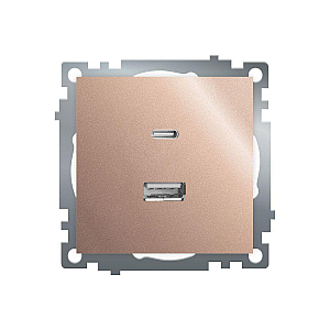 Розетка 2-местная USB + type C Stekker Катрин GLS10-7116-02 50056