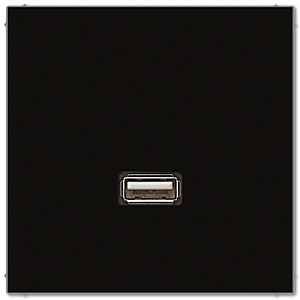 Розетка USB Jung MALS1122SW