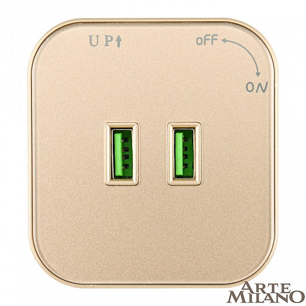 Трековая розетка Arte Milano Am-track-sockets 380022TS/USBx2 Gold