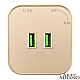 Трековая розетка Arte Milano Am-track-sockets 380022TS/USBx2 Gold