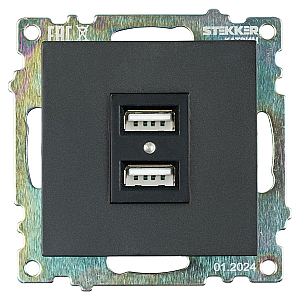 Розетка USB 2-местная Stekker Катрин 39616
