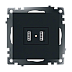 Розетка 2хUSB Stekker Катрин черный GLS10-7115-05 39616