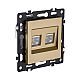 Розетка двойная Ethernet RJ45 Cat.6, золотой Kollinger Asthetik AS-018GD