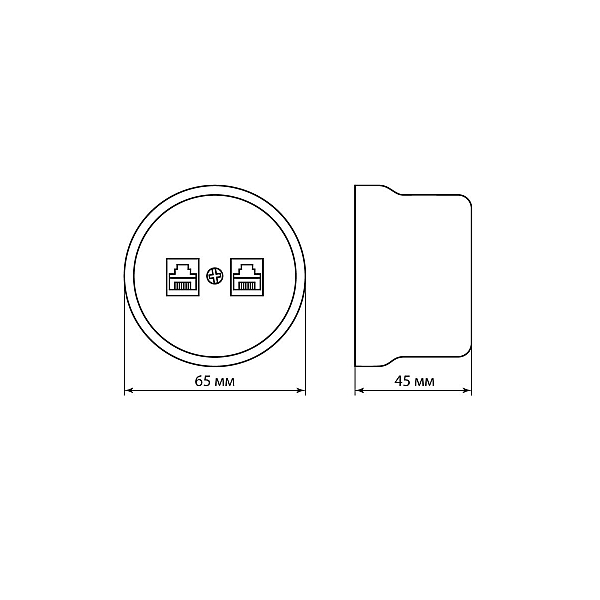 Розетка телефонная RJ11 + компьютерная RJ45 сл. кость Болонь TDM Electric SQ1820-0352