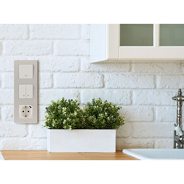 Розетка с/з с USB тип C со шторками Legrand Inspiria 673771
