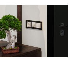 Комплект механизма электрической розетки 2USB С+C 20W с/з на винтовых зажимах 16A-250V Alfa Бежевый глянец Quant Ambrella Volt MA310510 (AP3105, VM165)