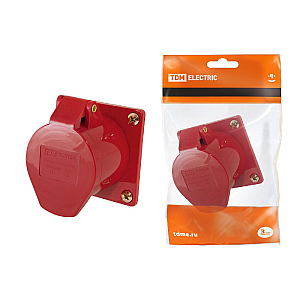 Розетка скрытая TDM Electric SQ0604-0012