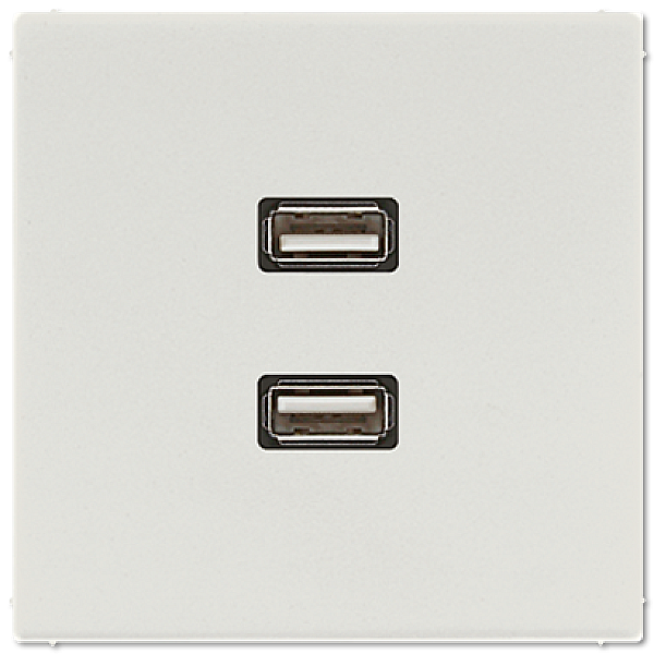 Розетка USB Jung MALS1153LG
