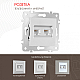 Розетка телефонная RJ11 + компьютерная RJ45 Arte Milano 203.44-1.silver