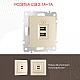 Розетка USB 2.1А+1А Arte Milano 206.46-1.shampan
