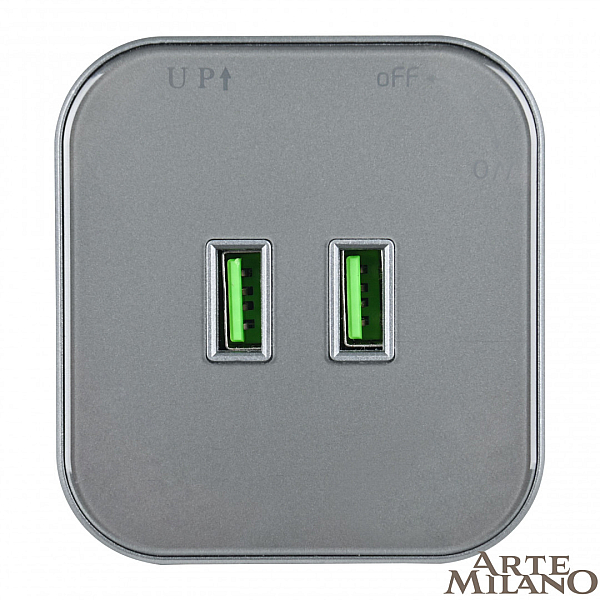 Трековая розетка Arte Milano Am-track-sockets 380022TS/USBx2 Grey