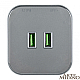 Трековая розетка Arte Milano Am-track-sockets 380022TS/USBx2 Grey