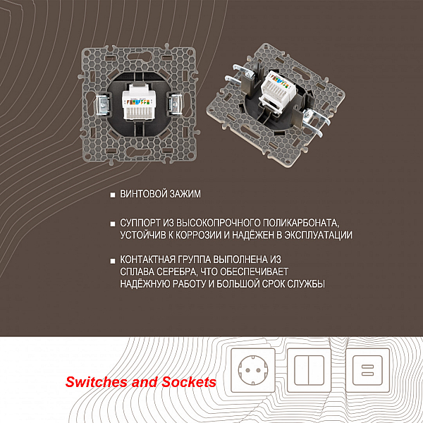 Розетка RJ45 Arte Milano 217.45-1.shampan