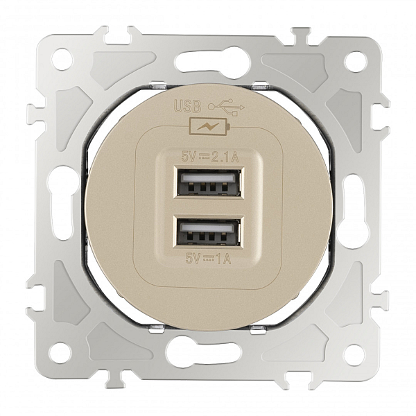 Розетка USB 2.1А+1А Arte Milano 202.46-1.shampan