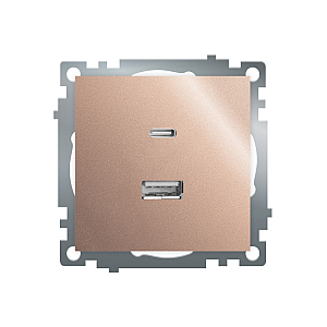 Розетка 2-местная USB + type C Stekker Катрин GLS10-7116-02 50056