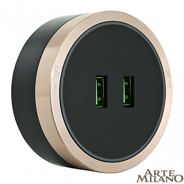 Трековая розетка Arte Milano Am-track-sockets 380066TS LED/USBx2 Gold