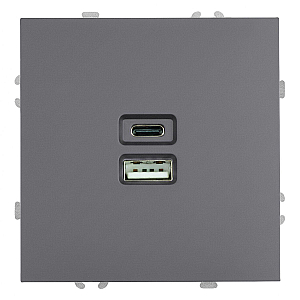 Розетка 2-местная USB + Type C Stekker Эмили RST10-5115-10 49957