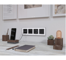 Комплект механизма электрической розетки 2USB С+C 20W с/з на винтовых зажимах 16A-250V Alfa Черный матовый Quant Ambrella Volt MA810510 (AP8105, VM165)