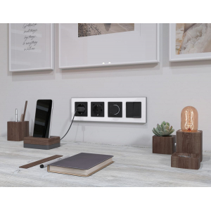 Комплект механизма электрической розетки 2USB С+C 20W с/з на винтовых зажимах 16A-250V Alfa Черный матовый Quant Ambrella Volt MA810510 (AP8105, VM165)