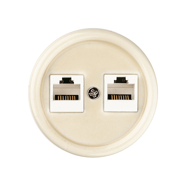 Розетка двойная компьютерная RJ45 сл. кость Болонь TDM Electric SQ1820-0351