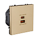 Розетка USB A+C 65W, золотой Kollinger Eclipse EC-024GD