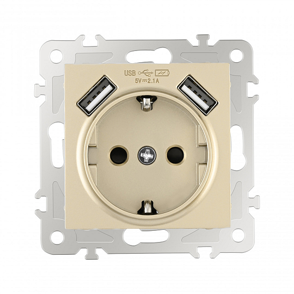 Розетка с заземлением, шторками + 2 USB Arte Milano 206.47-1.shampan