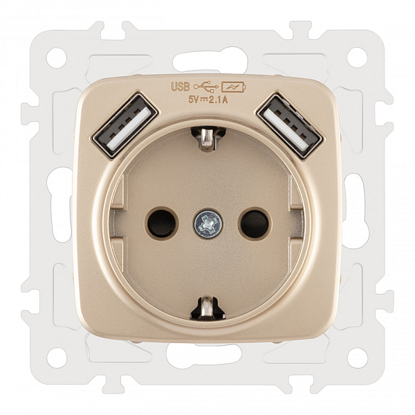 Розетка с заземлением, шторками + 2 USB Arte Milano 205.47-1.shampan