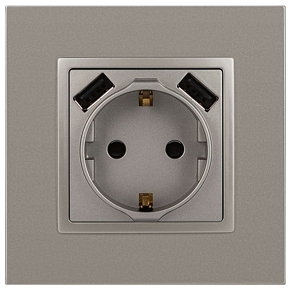 Розетка ЭРА Elegance 14-4109-16 2P+E 16A-250В штор. с 2xUSB 5В-3А титан Б0065775