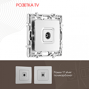 Розетка TV Arte Milano 217.43-1.silver