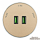 Трековая розетка Arte Milano Am-track-sockets 380011TS/USBx2 Gold