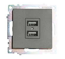 Розетка USB Stekker Катрин GLS10-7115-06 49422