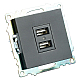 Розетка 2хUSB Stekker Катрин черный GLS10-7115-05 39616
