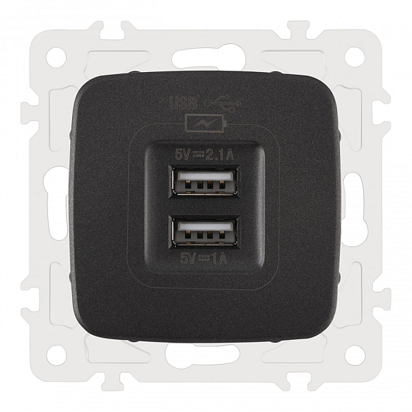 Розетка USB 2.1А+1А Arte Milano 205.46-1.black