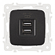 Розетка USB 2.1А+1А Arte Milano 205.46-1.black