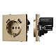 Механизм розетки с USB зарядкой Arlight SCT-TENDO-MUAA-SFPL-GD (230V, 16A) 054604