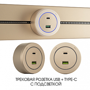 Трековая розетка Arte Milano Am-track-sockets-39 399731TS/USB-Type-C Gold