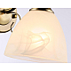 Бра Ambrella light Traditional TR3048