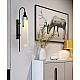 Бра DeLight Collection Arc Well B6066W/L black/white