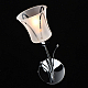 Бра MW-Light 297023701