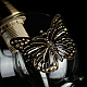 Бра Arte Lamp 29 A5004AP-1AB