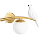Бра Arte Lamp Eltanin A3422AP-1GO