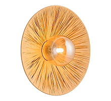 Настенный светильник Lussole Sunflower LSP-5009
