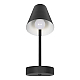 Бра Loft IT Shelf 10216/1W Black