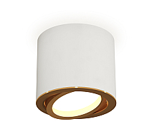 Накладной поворотный светильник Ambrella Light Techno XS7401004 (C7401, N7004)