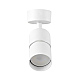Спот Lampit Asti TS TK40-C1 WT+CHR