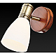 Спот Toplight Sharyl TL3720Y-01BB